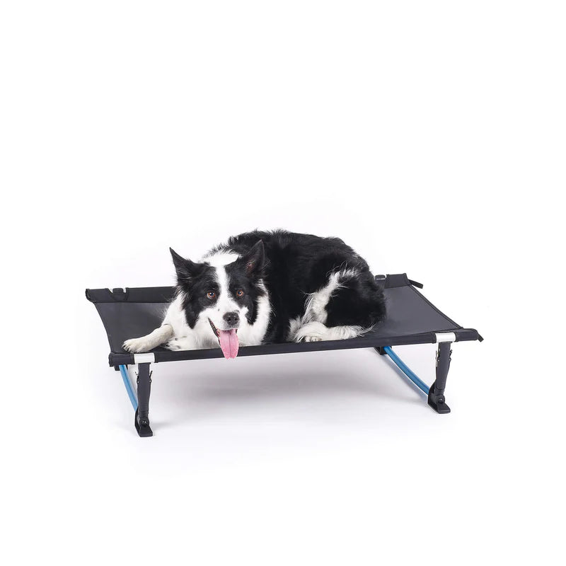 Elevated Dog Cot